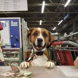 Meet your Posher, Robin